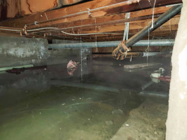 Best 24/7 water damage repair  in Prior Lake, MN