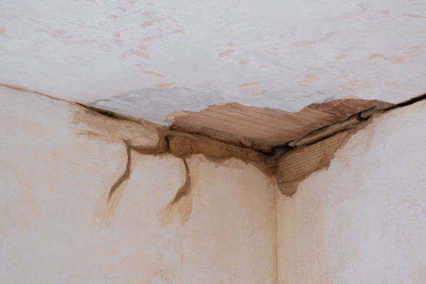 Best Water damage restoration near me  in Prior Lake, MN