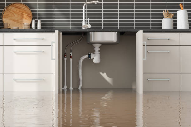 Best Emergency water extraction  in Prior Lake, MN