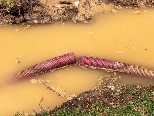  Prior Lake, MN Water damage restoration Pros